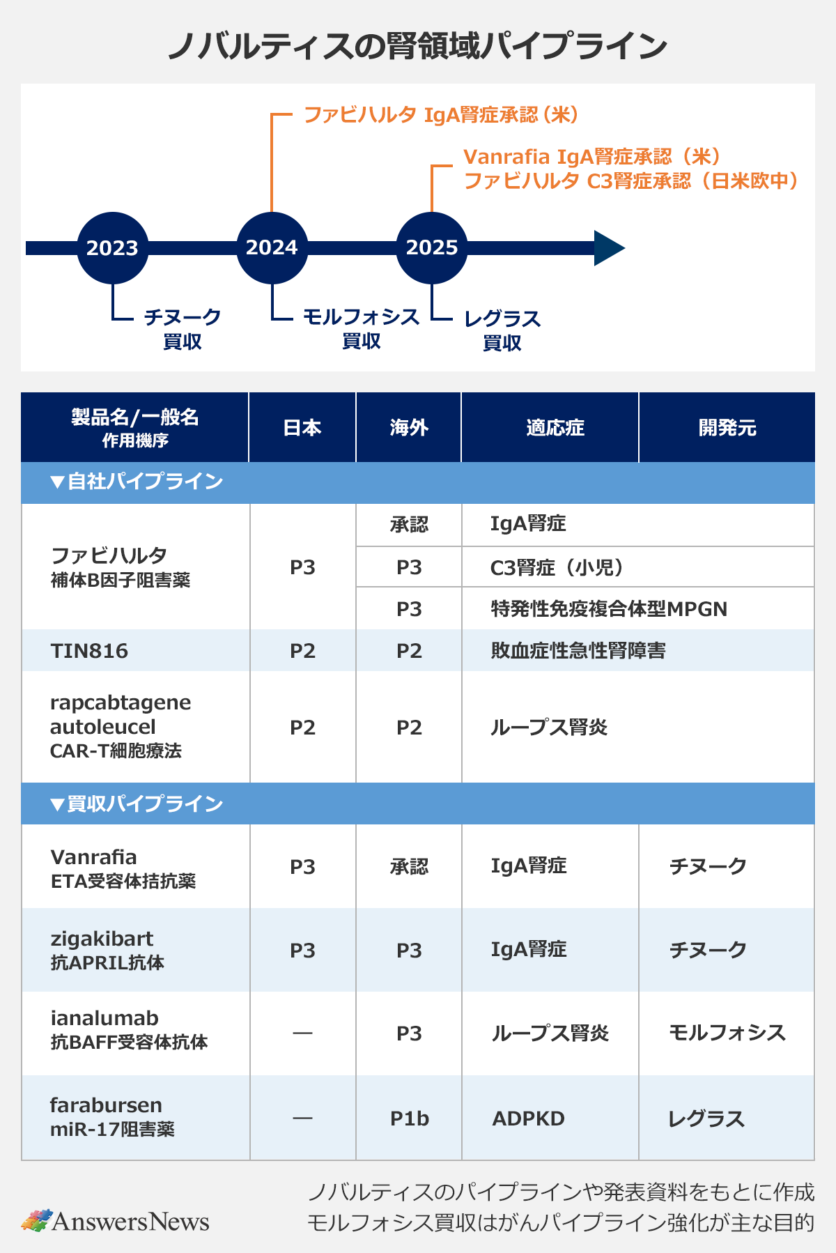 【ノバルティスの腎領域パイプライン】▼自社パイプライン〈製品名・一般名／作用機序／日本／海外／適応症〉｜ファビハルタ／補体B因子阻害薬／P3／承認／IgA腎症｜ファビハルタ／補体B因子阻害薬／P3／C3腎症（小児）｜ファビハルタ／補体B因子阻害薬／P3／特発性免疫複合体型MPGN｜TIN816／P2／P2／敗血症性急性腎障害｜rapcabtagene autoleucel／CAR-T細胞療法／P2／P2／ループス腎炎｜▼買収パイプライン〈製品名・一般名／作用機序／日本／海外／適応症／開発元〉｜Vanrafia／ETA受容体拮抗薬／P3／承認／IgA腎症／チヌーク｜zigakibart／抗APRIL抗体／P3／P3／IgA腎症／チヌーク｜ianalumab／抗BAFF受容体抗体／―／P3／ループス腎炎／モルフォシス｜farabursen／miR-17阻害薬／―／P1b／ADPKD／レグラス｜※ノバルティスのパイプラインや発表資料をもとに作成※モルフォシス買収はがんパイプライン強化が主な目的