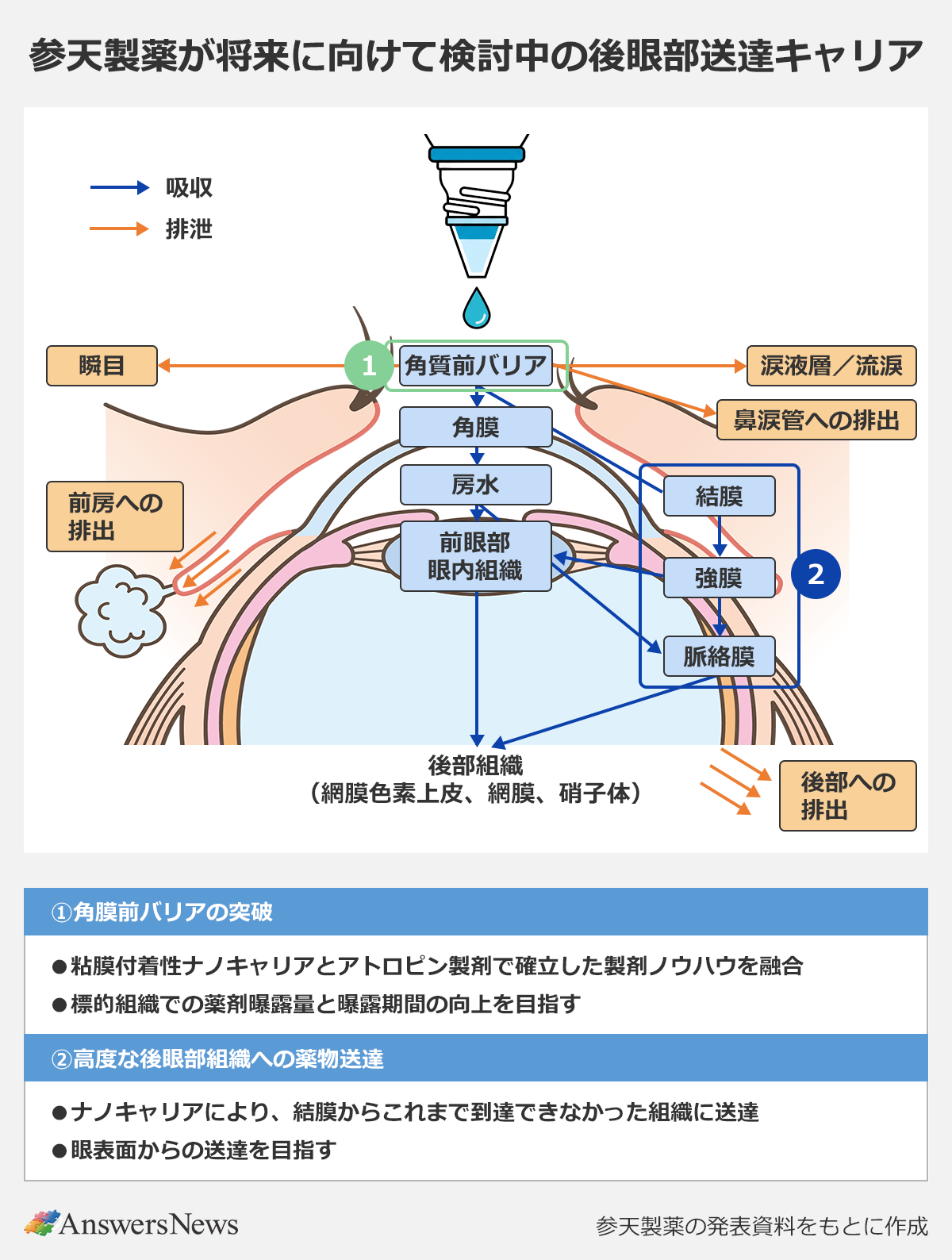 【参天製薬が将来に向けて検討中の後眼部送達キャリア】〈眼球のイラストによる吸収（青矢印）と排泄（オレンジ矢印）の経路図〉 ｜角膜前バリアからの吸収と排泄 ｜排泄ルート：瞬目、涙液層／流涙、鼻涙管への排出 ｜吸収ルートA：角膜→房水→前眼部眼内組織（※ここから「前房への排出」あり） ｜吸収ルートB：結膜→強膜→脈絡膜（※この結膜から脈絡膜に至る部分が「2」に該当） ｜後部組織（網膜色素上皮、網膜、硝子体）：吸収ルートの最終到達先。ここから「後部への排出」あり ｜〈各ポイントの解説〉 ｜①角膜前バリアの突破 ｜粘膜付着性ナノキャリアとアトロピン製剤で確立した製剤ノウハウを融合 ｜標的組織での薬剤曝露量と曝露期間の向上を目指す ｜②高度な後眼部組織への薬物送達 ｜ナノキャリアにより、結膜からこれまで到達できなかった組織に送達 ｜眼表面からの送達を目指す ｜※参天製薬の発表資料をもとに作成