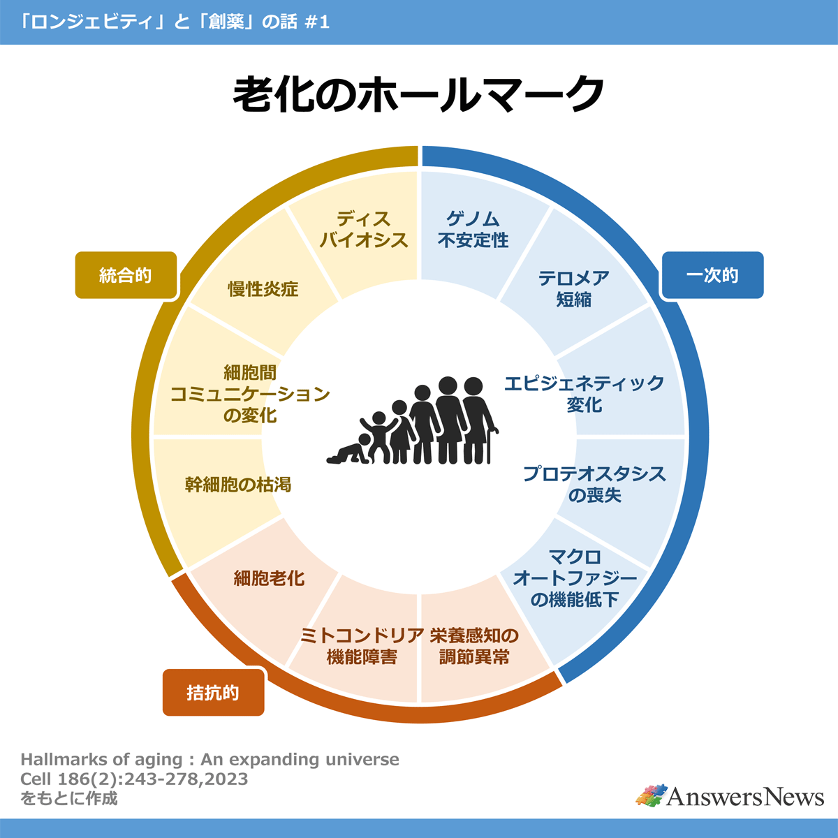 【老化のホールマーク】〈一次的〉ゲノム不安定性／テロメア短縮／エピジェネティック変化／プロテオスタシスの喪失／マクロオートファジーの機能低下｜〈拮抗的〉栄養感知の調節異常／ミトコンドリア機能障害／細胞老化｜〈統合的〉幹細胞の枯渇／細胞間コミュニケーションの変化／慢性炎症／ディスバイオシス