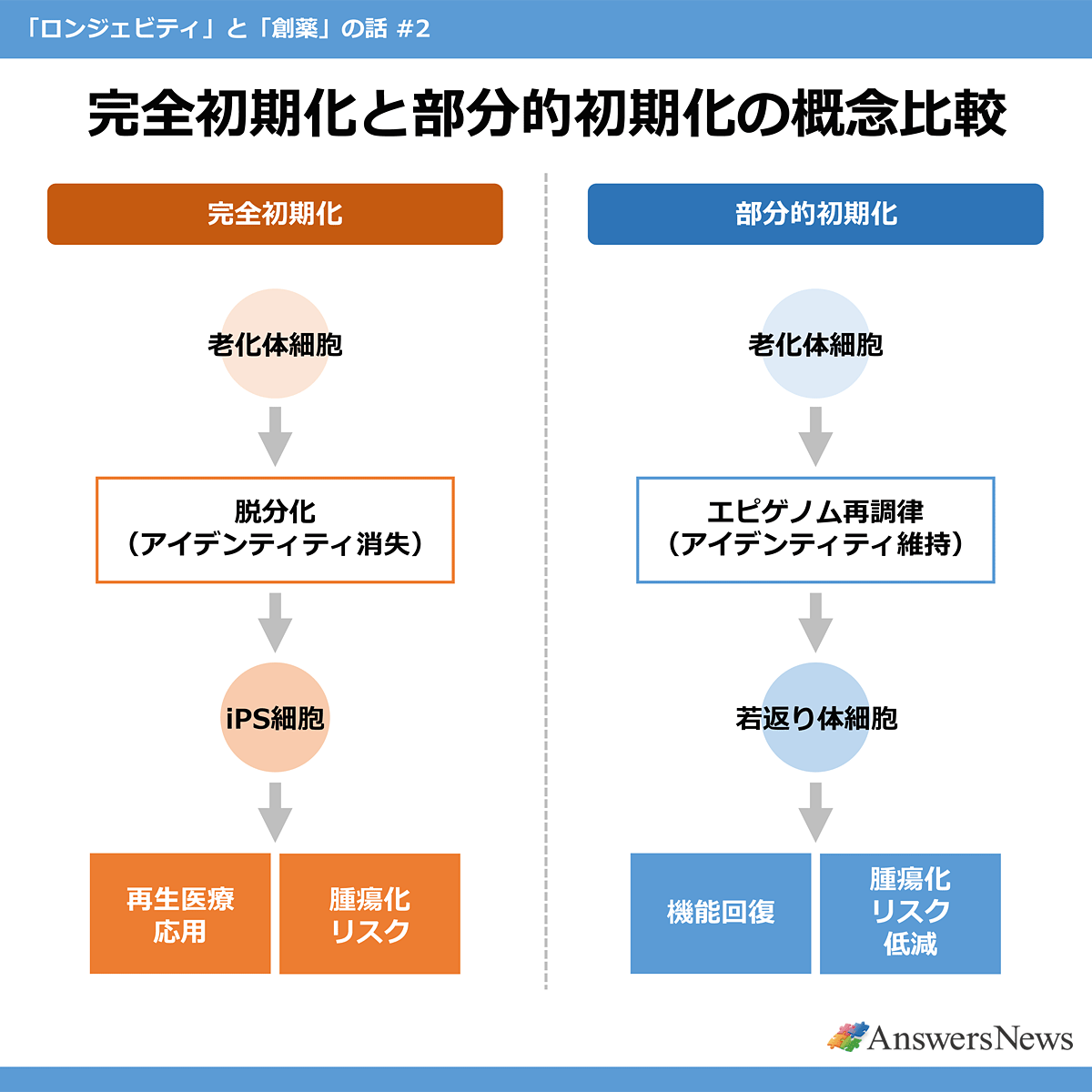 【完全初期化と部分的初期化の概念比較】 〈完全初期化のプロセス／部分的初期化のプロセス〉老化体細胞→脱分化（アイデンティティ消失）→iPS細胞→再生医療応用・腫瘍化リスク｜老化体細胞→エピゲノム再調律（アイデンティティ維持）→若返り体細胞→機能回復・腫瘍化リスク低減