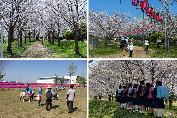 【上段】桜が咲く遊歩道。地域住民が歩く姿も見られた【下段】近隣の小学生や保育園児が訪れた際の写真（提供写真）